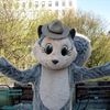 City Officially Welcomes Pearl The Squirrel